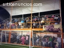 Traspaso Cancha Futbol 7 en Cuautitlán I
