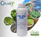 TRI-FOL