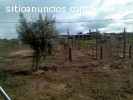 VENDO EN VALLE DE GUADALUPE 2777 mts