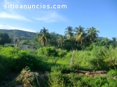 Vendo terreno con casa zona parad.