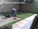 Venta de pasto en rollo natural (Envios)