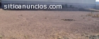 VENTA TERRENO INDUSTRIAL LA NORIA, (212)