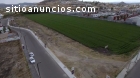 VENTA TERRENO PROLONGACCIÓN EL JACAL, (3
