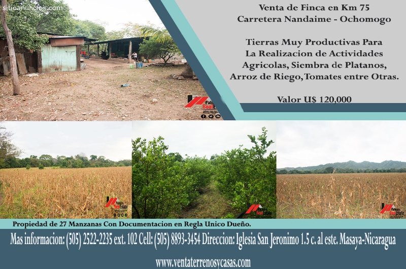 se vende finca en ochomogo