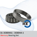 ICE Marine Roller Bearing Set