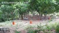 Paintball Selvático Panamá