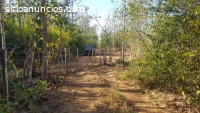 SE VENDE FINCA 13 HECTÁREAS / TITULADA /