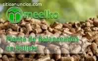 Planta de Balanceados en Pellets MEELKO