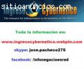 INGRESO CYBERNETICO PERU, Equipo Oficial
