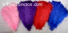 plumas de avestruz decorativos