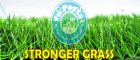 STRONGER GRASS Grass Sintético Deportivo