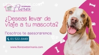 VETERINARIA FLORES – TRAMITE DE VIAJE PA