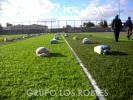 VENTA DE GRASS AMERICANO RPM: #957428047