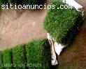 INSTALACION DE GRASS NATURAL