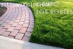 SEMILLAS DE GRASS AMERICANO