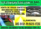 Decorativo, césped, jardín, icse grass