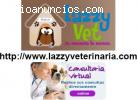 LazzyVeterinaria.com: Lazzy Vet Clínica