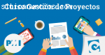Gestión de Proyectos Metodología PMI