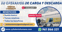 Auxiliares de Carga y descarga