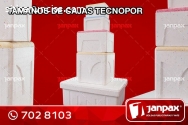 Cajas de Tecnopor - JANPAX