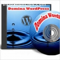 Domina Wordpress