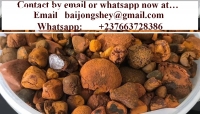 Gallstones(ox-cow) for sale