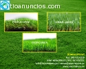GRAN OFERTA DE GRASS DECORATIVO: (01) 52