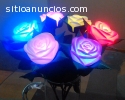 HERMOSAS ROSAS LED PARA TODO NEGOCIO