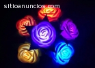 HERMOSAS ROSAS LED PARA TODO NEGOCIO