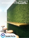 jardin vertical texture, muro verde