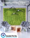 jardin vertical texture, muro verde