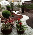 jardineria, paisajismo, flores, plantas,