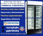 Leaders! Reparacion≤VISICOOLER≥017256381