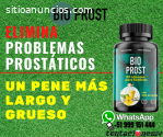 LIMA|BIOPROST DESARROLLO|999151444