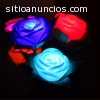 PARA TU EMPRESA O NEGOCIO ROSAS LED