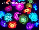 PARA TU EMPRESA O NEGOCIO ROSAS LED