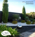 plantas naturales, paisajismo, flores
