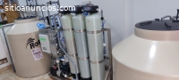 SE COMERCIA PLANTAS PARA PURIFICAR AGUAS