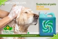 Shampoo PH7 ecologico para mascotas