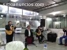 tu reunion con musica criolla