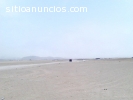 VENTA DE 15 HECTAREAS DE TERRENO - LURIN