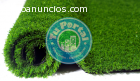 VENTA DE GRASS DECORATIVO AL POR MAYOR: