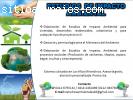 ESTUDIOS DE IMPACTO AMBIENTAL