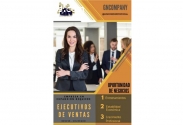 Ejecutivo de Ventas Internacional