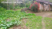 *Oferta Negociable* FINCA 85hectareas