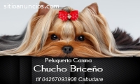 Peluqueria Canina Chucho Briceño