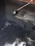Fotos de Limpieza de Tanques de Agua