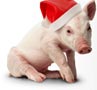 PREPÁRATE PARA LA NAVIDAD: APARTA TU COCHINO