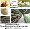 venta de Alimento para gallinas Ponedora