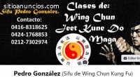 Academia de Wing Chun Kung Fu